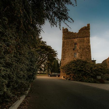 Killiane Castle Country House & Farm Drinagh Εξωτερικό φωτογραφία