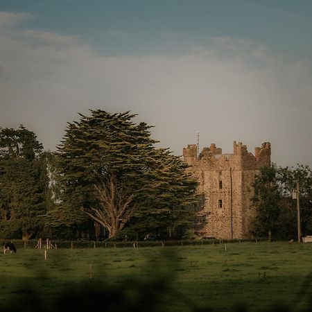 Killiane Castle Country House & Farm Drinagh Εξωτερικό φωτογραφία