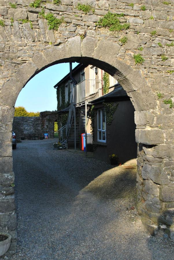 Killiane Castle Country House & Farm Drinagh Εξωτερικό φωτογραφία