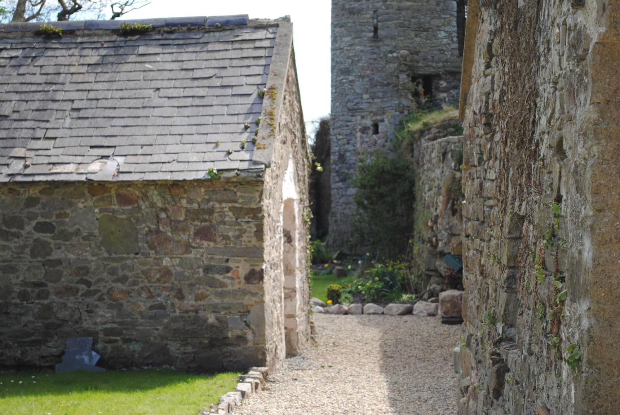 Killiane Castle Country House & Farm Drinagh Εξωτερικό φωτογραφία