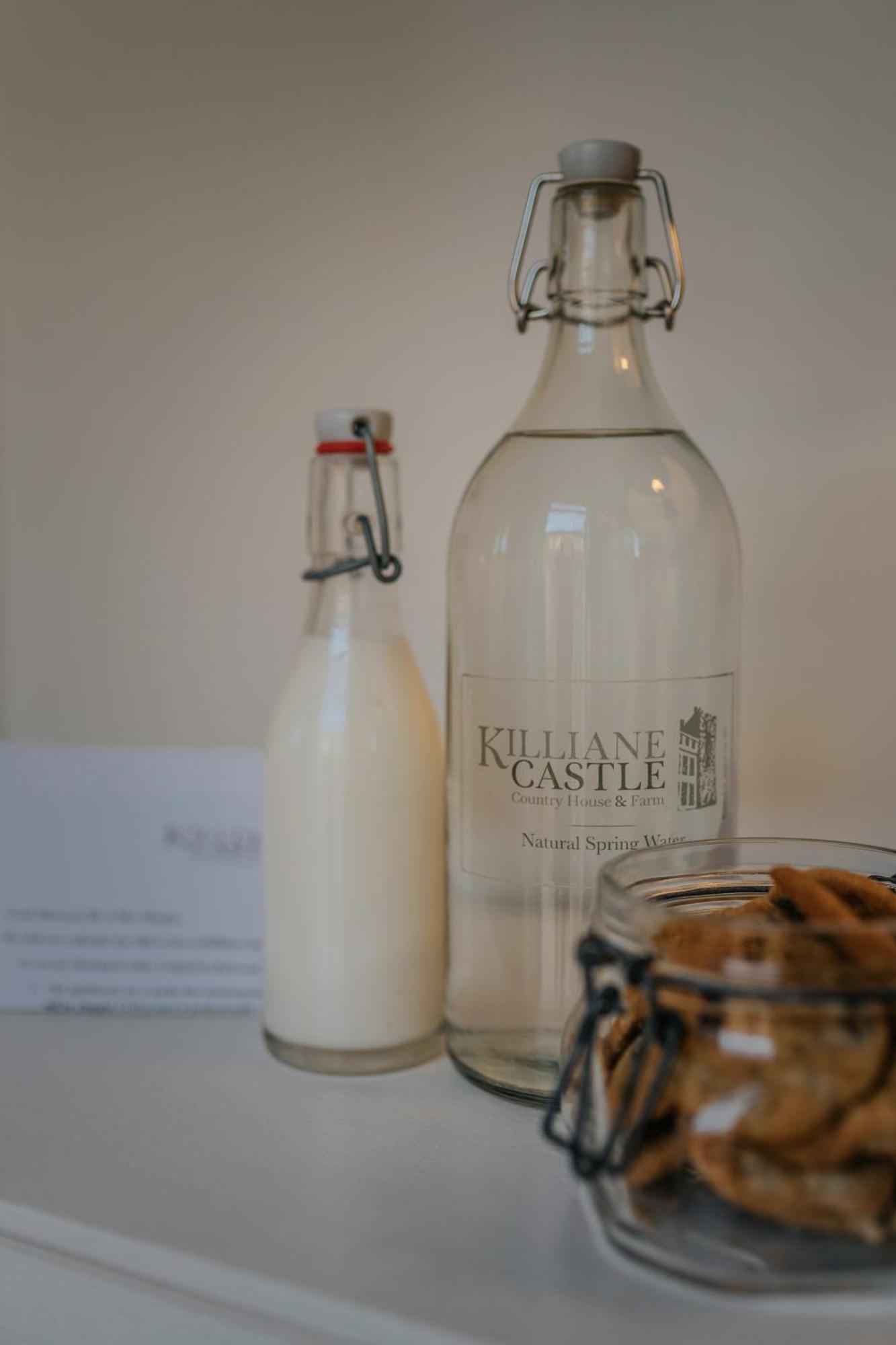 Killiane Castle Country House & Farm Drinagh Εξωτερικό φωτογραφία