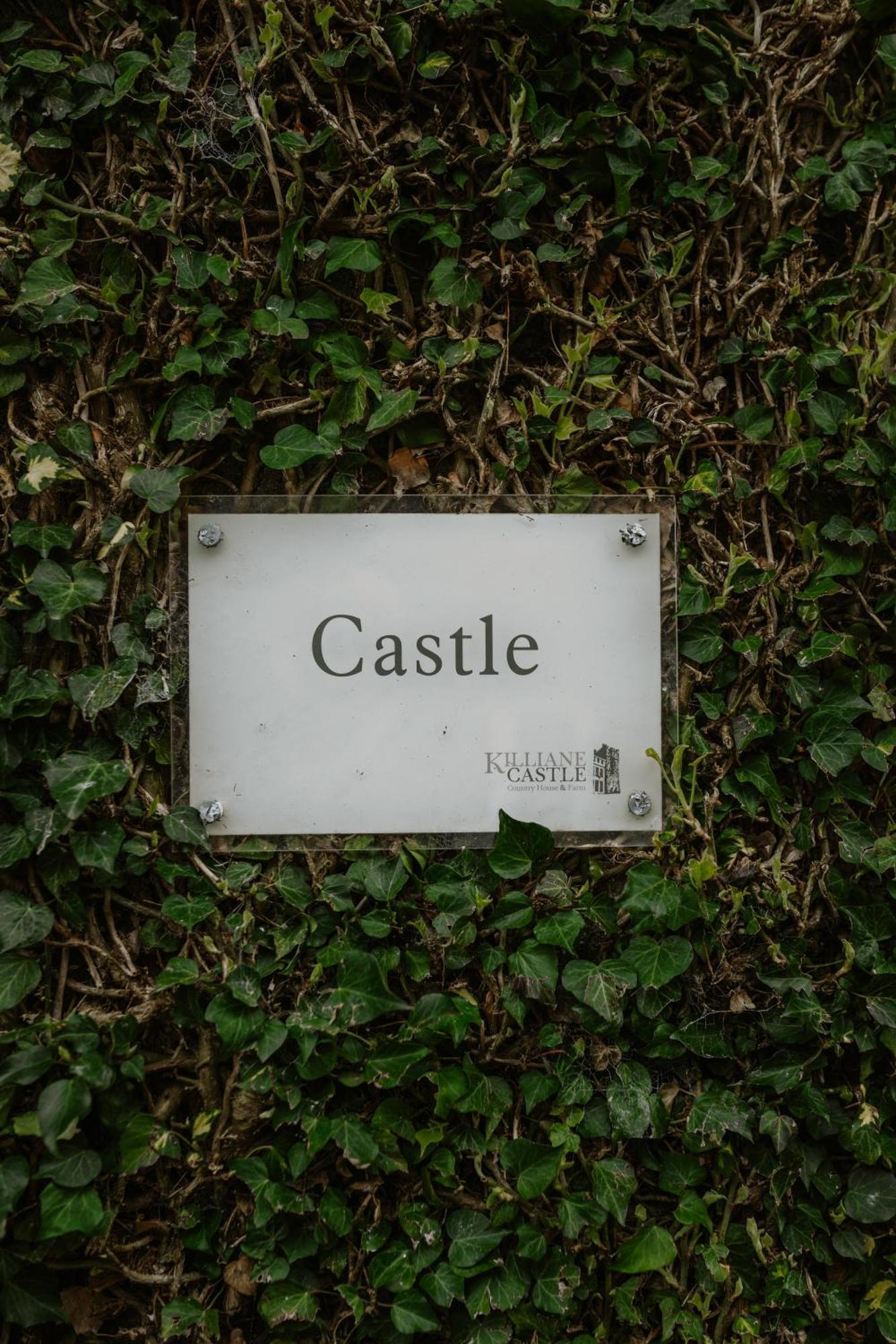 Killiane Castle Country House & Farm Drinagh Εξωτερικό φωτογραφία