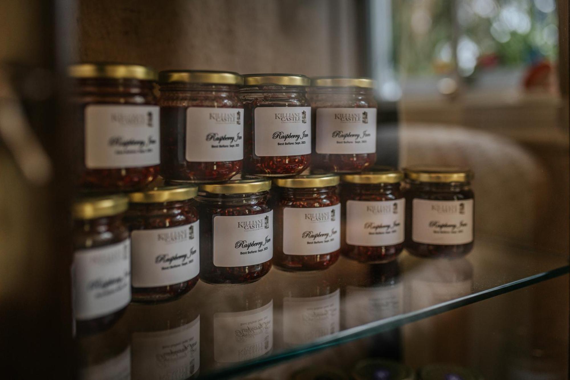 Killiane Castle Country House & Farm Drinagh Εξωτερικό φωτογραφία
