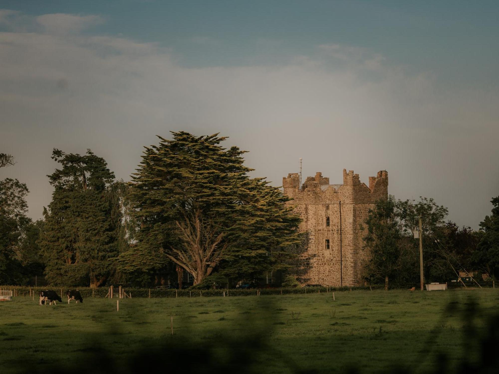 Killiane Castle Country House & Farm Drinagh Εξωτερικό φωτογραφία