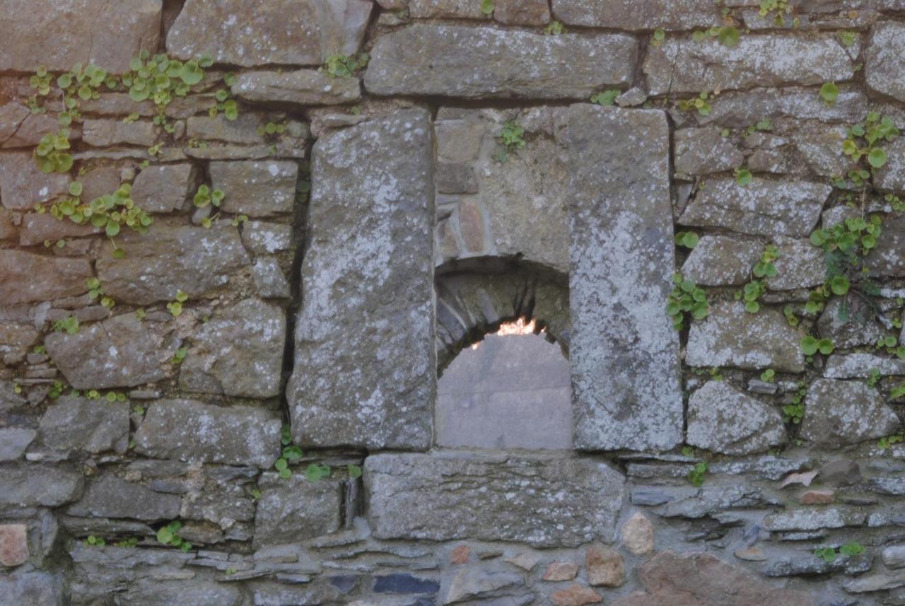 Killiane Castle Country House & Farm Drinagh Δωμάτιο φωτογραφία